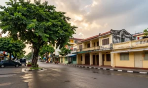 Minh họa: Khí hậu TP. Hồ Chí Minh có đặc điểm gì: nhiệt đới gió mùa cận xích đạo với hai mùa mưa khô rõ rệt
