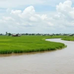 Minh họa: Khí hậu Vĩnh Long có đặc điểm gì nhiệt đới gió mùa phân hai mùa mưa khô rõ rệt