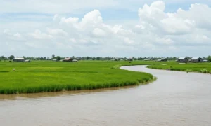 Minh họa: Khí hậu Vĩnh Long có đặc điểm gì nhiệt đới gió mùa phân hai mùa mưa khô rõ rệt