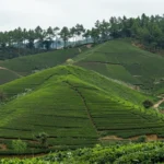 Minh họa: Lâm Đồng có hay bị bão không?