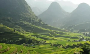 Minh họa: Lạng Sơn mùa nào đẹp nhất trong năm: Tháng 9-11 hoặc tháng 2-4 là thời điểm lý tưởng