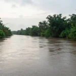 Minh họa: Lượng mưa trung bình năm ở Cần Thơ khoảng 1.600 mm tập trung vào mùa mưa tháng 5 đến tháng 11
