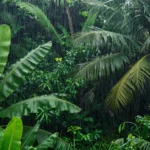 Minh họa: Lượng mưa trung bình năm ở đồng nai là 2.400mm, cao nhất cả nước