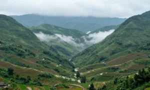 Minh họa: Lượng mưa trung bình năm ở Lai Châu: con số cụ thể và so sánh với các tỉnh miền núi khác