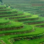 Minh họa: Lượng mưa trung bình năm ở lào cai dao động 2.000 - 2.400mm/năm