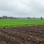 Minh họa: Lượng mưa trung bình năm ở tây ninh dao động 1.300-1.500mm, cao nhất vào mùa mưa