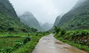 Minh họa: Lượng mưa trung bình năm ở thanh hóa là 2.000mm, cao hơn hẳn miền bắc