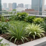 Minh họa: Mái xanh Green roof giảm nhiệt đô thị: khu vườn trên mái giúp tiết kiệm năng lượng và kiểm soát nhiệt độ