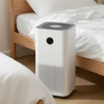 Minh họa: Mạt bụi nhà sinh sôi khi độ ẩm cao: Giải pháp kiểm soát độ ẩm 40-60% giảm dị ứng