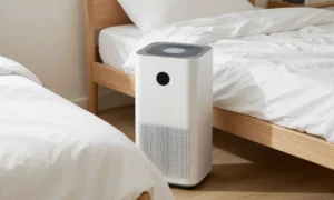 Minh họa: Mạt bụi nhà sinh sôi khi độ ẩm cao: Giải pháp kiểm soát độ ẩm 40-60% giảm dị ứng