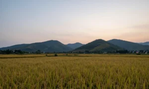 Minh họa: Mau sao thì nắng vắng sao thì mưa đúng không – Giải thích ý nghĩa và độ chính xác trong dự báo thời tiết