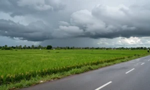 Minh họa: Mùa bão miền Nam thường vào tháng nào? Khung thời gian chính xác từ tháng 5 đến tháng 11