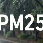 Minh họa: Mưa có làm sạch không khí không? Chỉ giảm 10–30% bụi và không loại bỏ được pm2.5