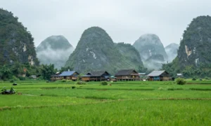 Minh họa: Mùa mưa miền Trung bắt đầu từ tháng mấy và thường kết thúc vào tháng 12 hoặc tháng 2 năm sau
