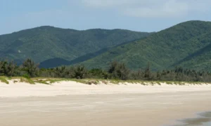 Minh họa: Nghệ An mùa nào đẹp nhất trong năm: biển, núi hay lễ hội