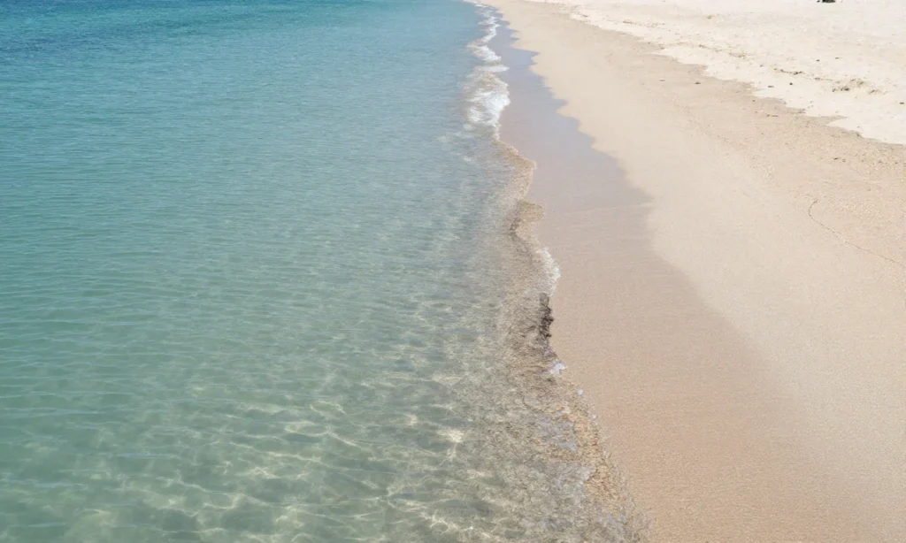 Minh họa: Nhận biết dòng chảy xa bờ rip current và cách thoát hiểm an toàn