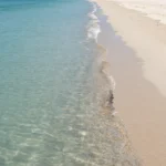 Minh họa: Nhận biết dòng chảy xa bờ rip current và cách thoát hiểm an toàn
