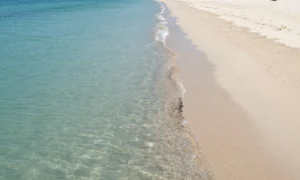 Minh họa: Nhận biết dòng chảy xa bờ rip current và cách thoát hiểm an toàn