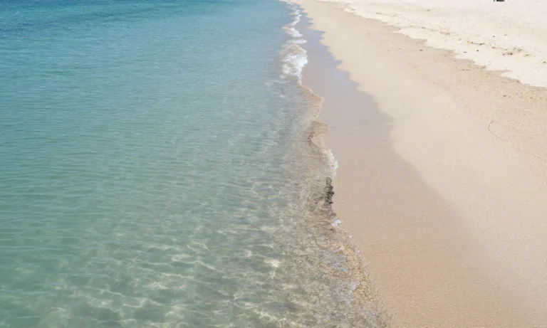 Minh họa: Nhận biết dòng chảy xa bờ rip current và cách thoát hiểm an toàn