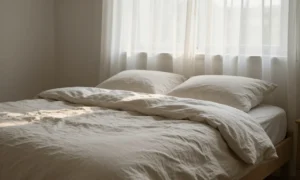 Minh họa: Nhiệt độ phòng ngủ lý tưởng cho giấc ngủ sâu là bao nhiêu độ?