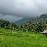 Minh họa: Nhiệt đới gió mùa là gì: đặc điểm và phân bố