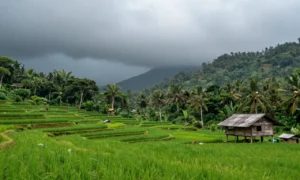 Minh họa: Nhiệt đới gió mùa là gì: đặc điểm và phân bố