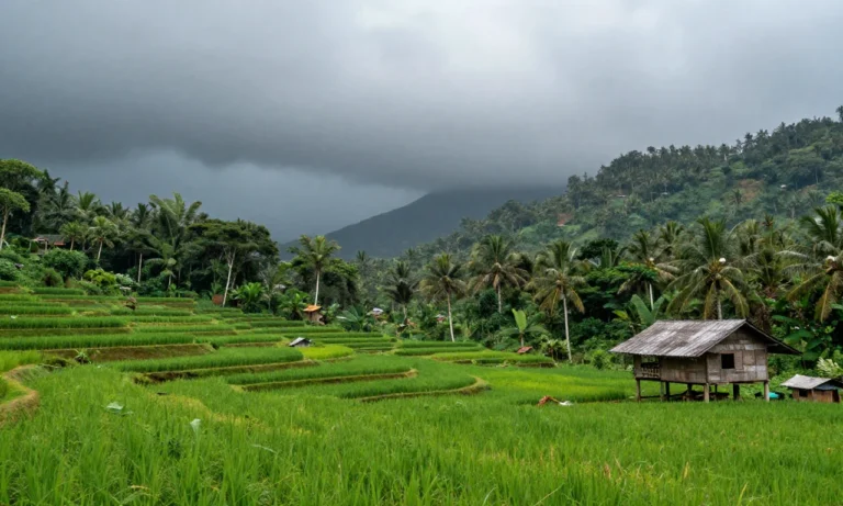 Minh họa: Nhiệt đới gió mùa là gì: đặc điểm và phân bố