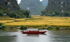 Minh họa: Ninh bình mùa nào đẹp nhất trong năm: tháng 4 đến tháng 6 lúa chín hoặc tháng 9 đến tháng 11 thu đẹp