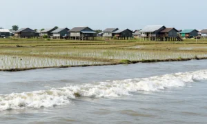 Minh họa: Nước biển dâng đe dọa vùng nào của việt nam: 13 tỉnh thành chịu rủi ro cao nhất