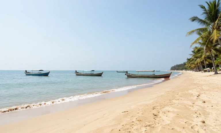 Minh họa: Quảng Ngãi mùa nào đẹp nhất trong năm tháng 4 đến tháng 8 là thời điểm lý tưởng nhất