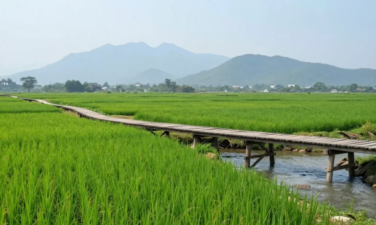 Minh họa: Quảng Trị mùa nào đẹp nhất trong năm: tháng 3 đến tháng 5 là thời điểm lý tưởng nhất