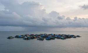 Minh họa: Số cơn bão trung bình mỗi năm ở việt nam là bao nhiêu?