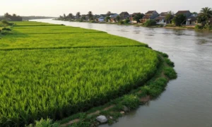 Minh họa: Tả ngạn sông Hồng là gì? Định nghĩa, địa lý và ứng dụng