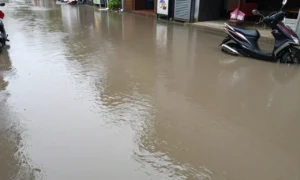Minh họa: Thái Nguyên có hay bị bão không: thực tế ngập lụt lịch sử do bão Matmo