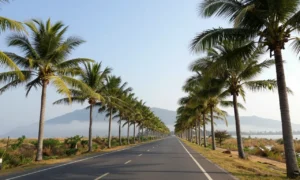 Minh họa: Tháng 11 nên đi du lịch ở đâu Việt Nam: Từ biển ấm miền Nam đến sương mờ Tây Bắc