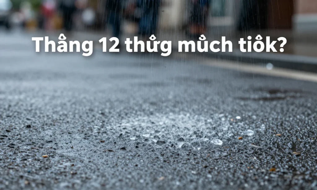 Minh họa: Tháng 12 có mưa nhiều không? dự báo lượng mưa thực tế cho du khách