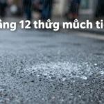 Minh họa: Tháng 12 có mưa nhiều không? dự báo lượng mưa thực tế cho du khách