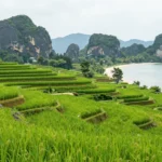Minh họa: Tháng 3 nên đi du lịch ở đâu Việt Nam? Gợi ý điểm đến đẹp nhất từ Bắc vào Nam