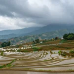 Minh họa: Tháng 5 có mưa nhiều không? Câu trả lời theo từng vùng miền