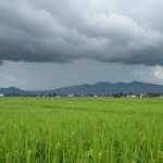 Minh họa: Tháng 6 có mưa nhiều không? Lượng mưa theo từng vùng và nguyên nhân