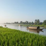 Minh họa: Tháng nào lạnh nhất ở an giang: tháng 12 và tháng 2 là thời điểm nhiệt độ thấp nhất