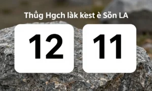 Minh họa: Tháng nào lạnh nhất ở Sơn La: tháng 12 và tháng 1 với nhiệt độ xuống thấp nhất