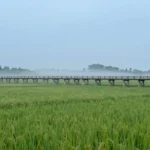Minh họa: Tháng nào lạnh nhất ở tây ninh: tháng 11 và tháng 2 là khoảng thời gian mát mẻ nhất