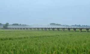 Minh họa: Tháng nào lạnh nhất ở tây ninh: tháng 11 và tháng 2 là khoảng thời gian mát mẻ nhất