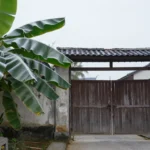 Minh họa: Tháng nào lạnh nhất ở thanh hóa: đáp án là tháng 1 với nhiệt độ trung bình dưới 17 độ c