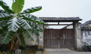 Minh họa: Tháng nào lạnh nhất ở thanh hóa: đáp án là tháng 1 với nhiệt độ trung bình dưới 17 độ c