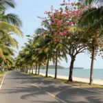 Minh họa: Thanh Hóa mùa nào nào đẹp nhất trong năm? Tháng 3 đến tháng 8 là thời điểm lý tưởng