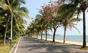 Minh họa: Thanh Hóa mùa nào nào đẹp nhất trong năm? Tháng 3 đến tháng 8 là thời điểm lý tưởng