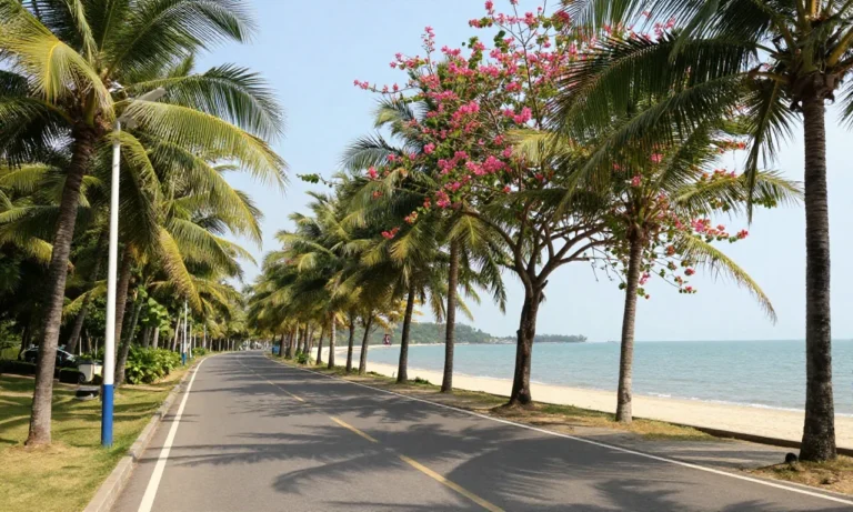 Minh họa: Thanh Hóa mùa nào nào đẹp nhất trong năm? Tháng 3 đến tháng 8 là thời điểm lý tưởng