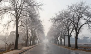 Minh họa: Thời tiết miền bắc tháng 1 như thế nào: rét đậm kéo dài, nhiệt độ giảm sâu dưới 15 độ c